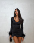 Plume dress