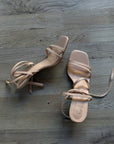 Tacco Clelia