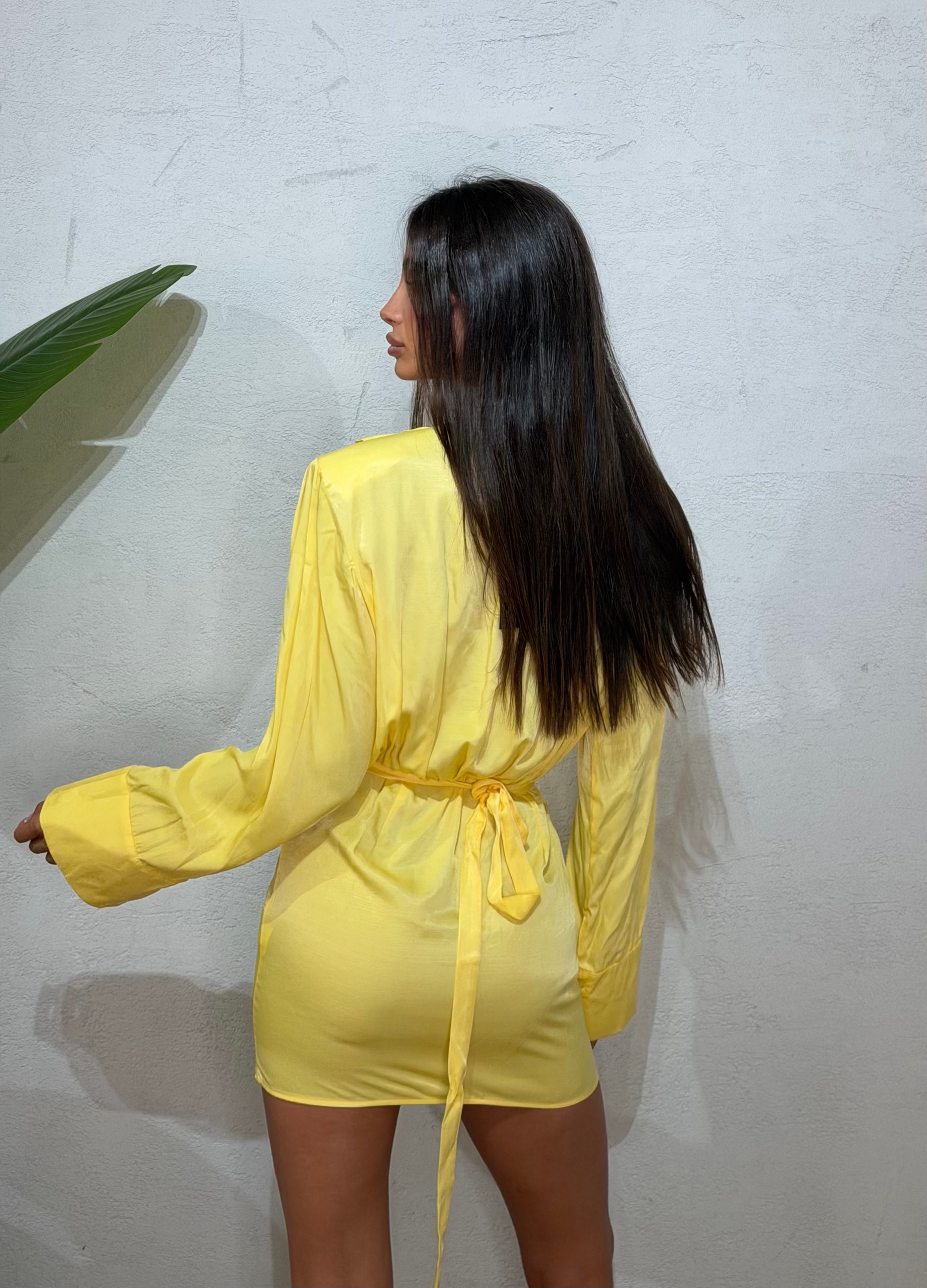 Dress camicia Nadel seta