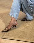 Tacco Leopard