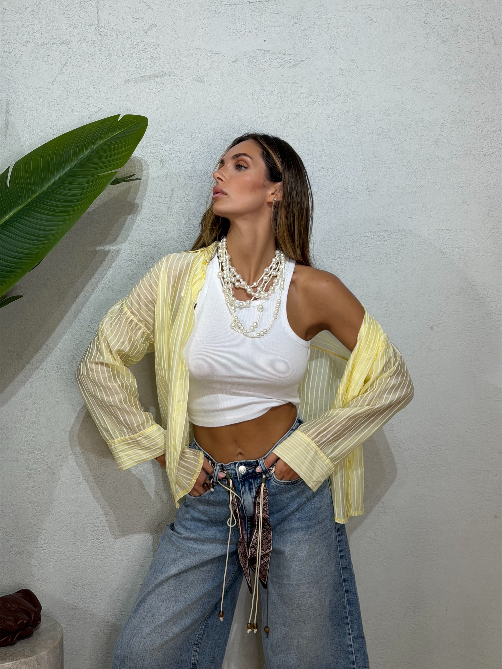 Camicia velata gessata